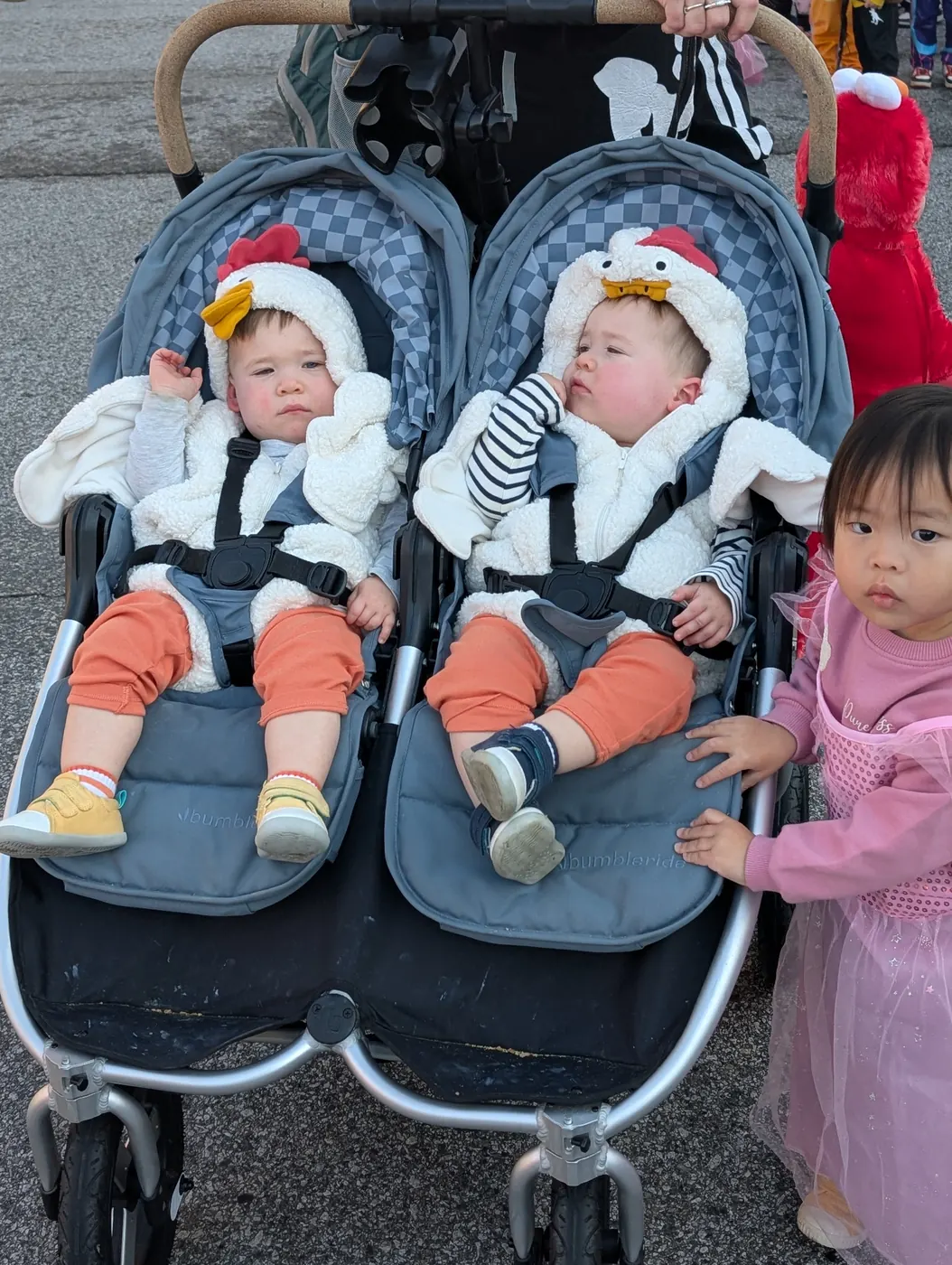 Twin infants dressed as baby chicks riding in a double stroller in the Halloween Parade