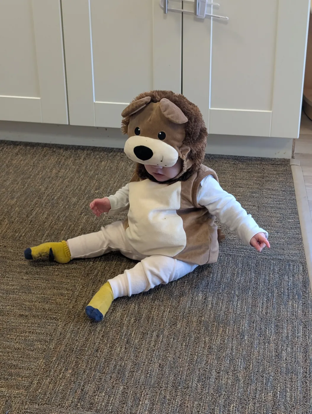 An infant in a cozy lion costume playing on the floor at Blossom Station on Halloween