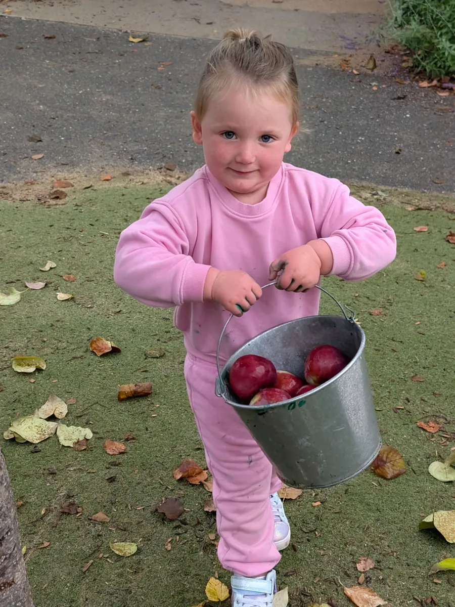 A smiling toddler carrying a metal bucket full of apples during TimberNook Apple Day at Blossom Station