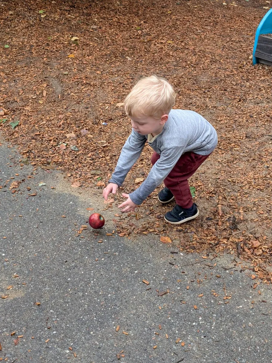 A toddler chasing an apple as it rolls across the path during TimberNook Apple Day